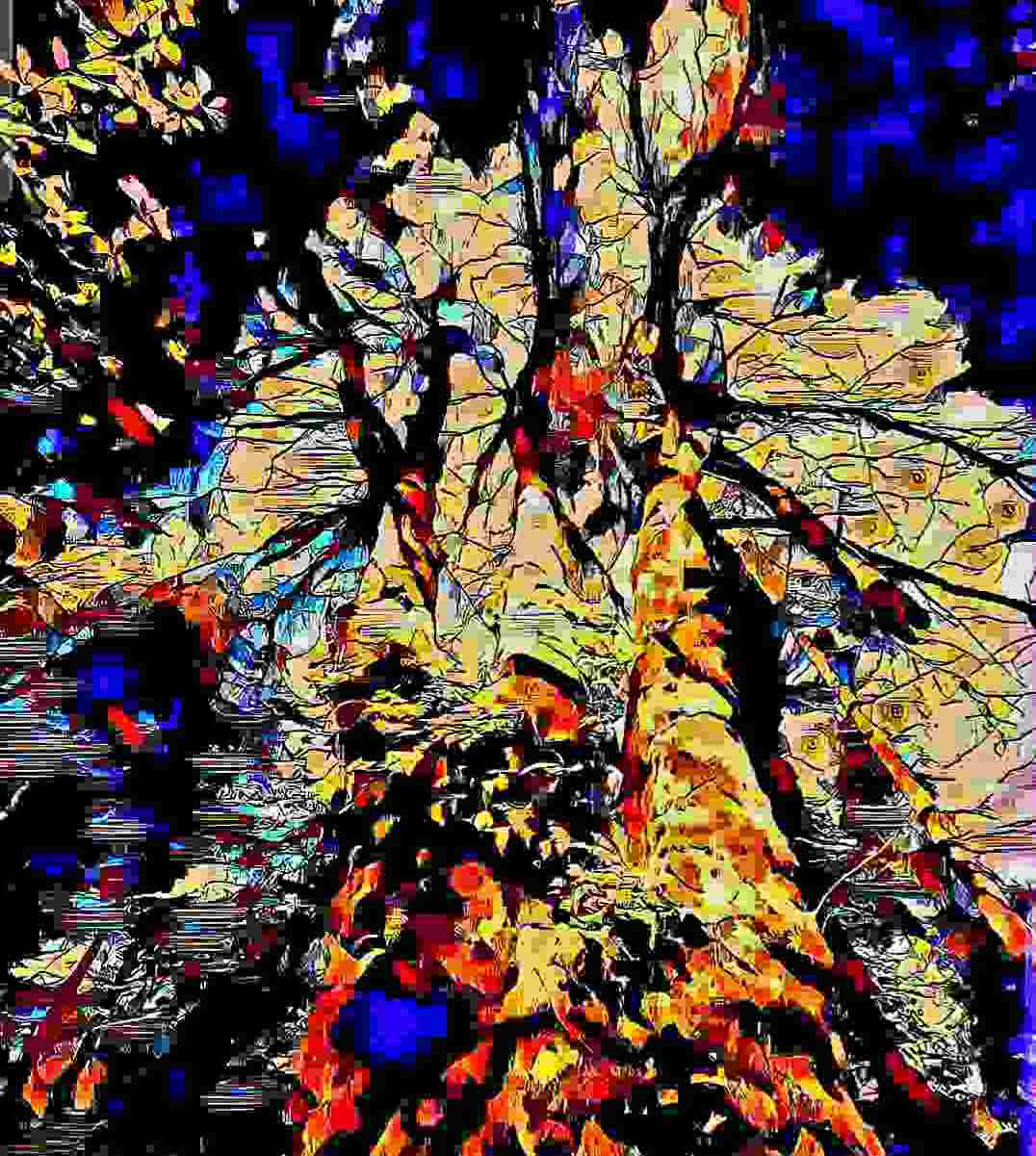 Lawrence_ artwork