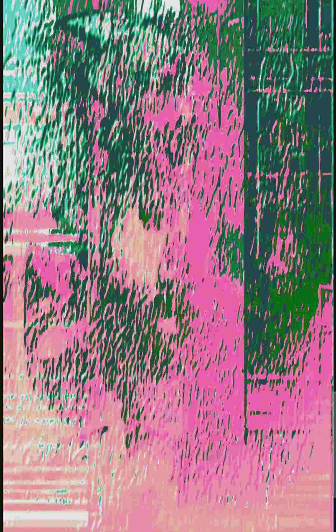 Magnus artwork