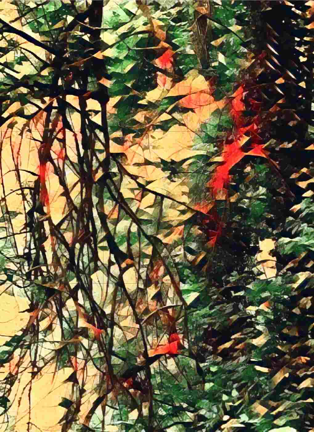 Tanner artwork
